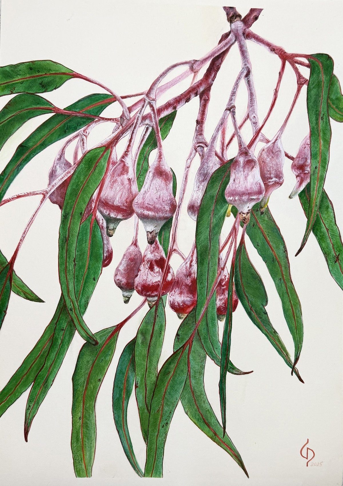 20. Crimson Bells