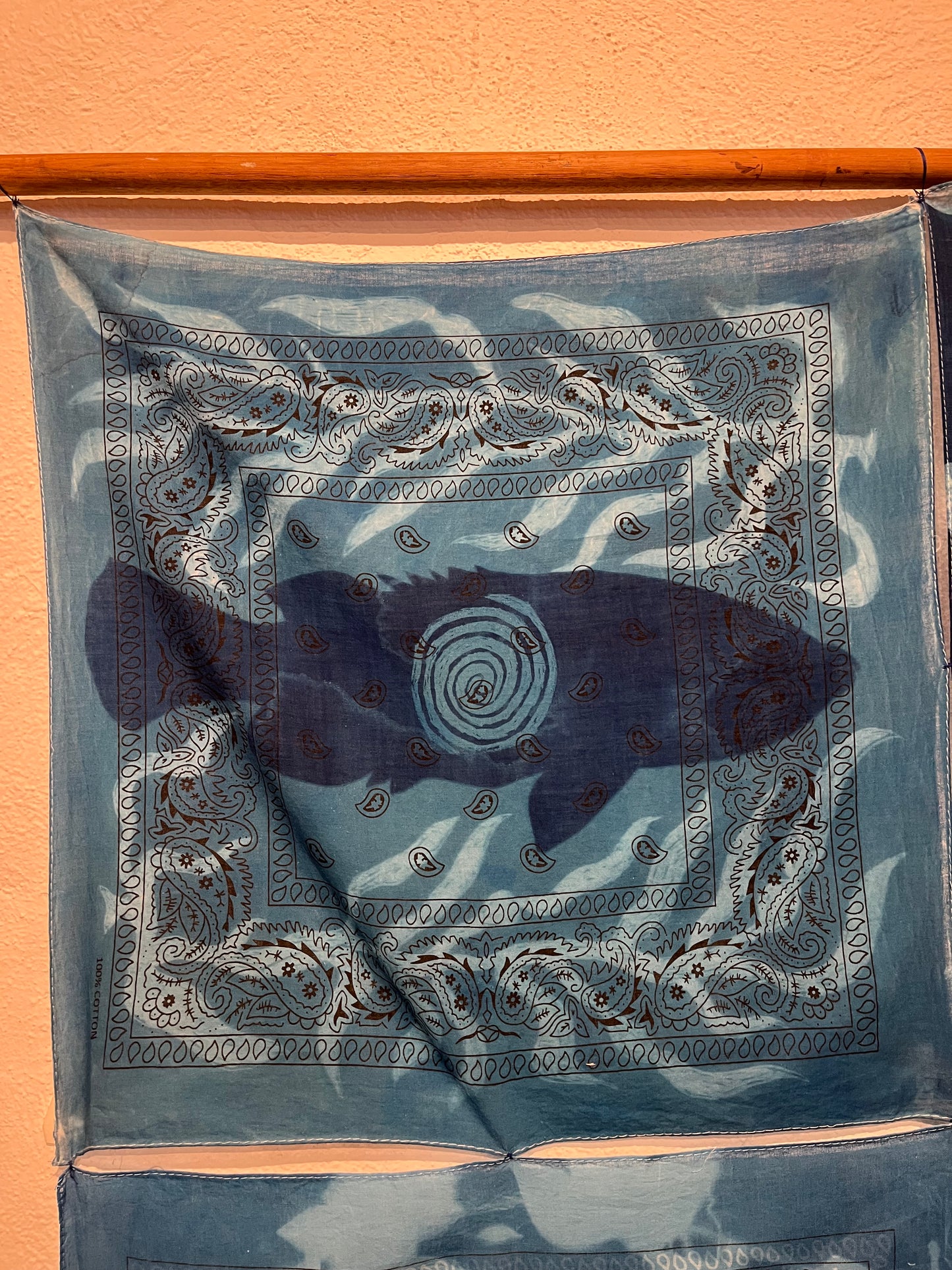 25(a). Iona Julian-Walters, Blue Groper - Single, 2025, Cyanotype on bandanas, 56 x 56cm
