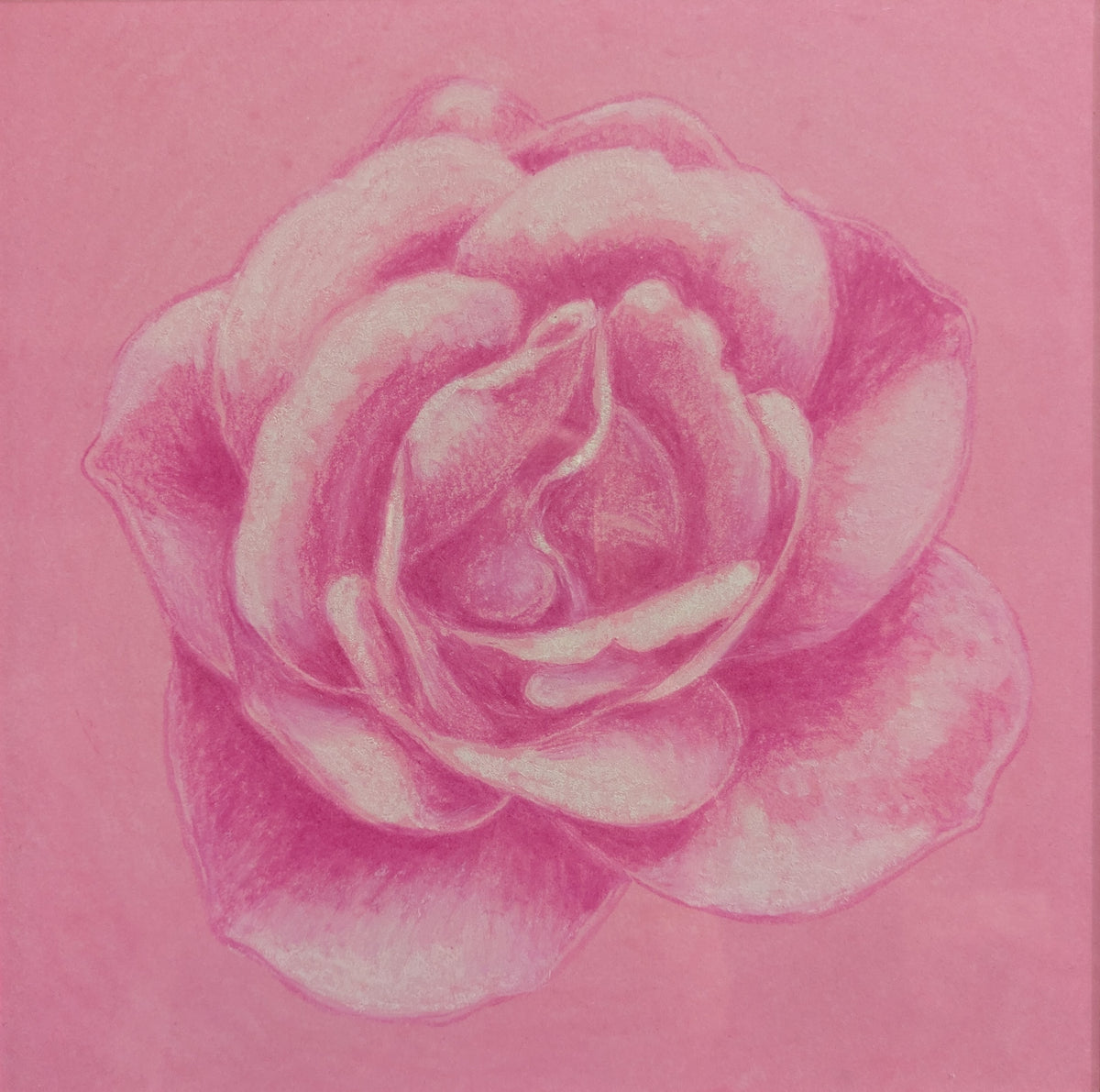 Karin Motyer, Pink Petals, 2026, pastel
pencil on oil pastel stained paper, 20 x 20cm