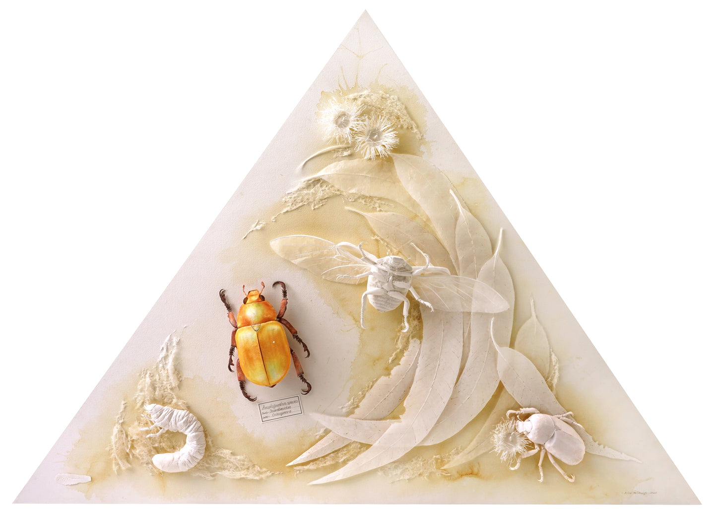 1. Ray Besserdin, A Call to Change, 2020, Paper, 166 x 118 x 12cm