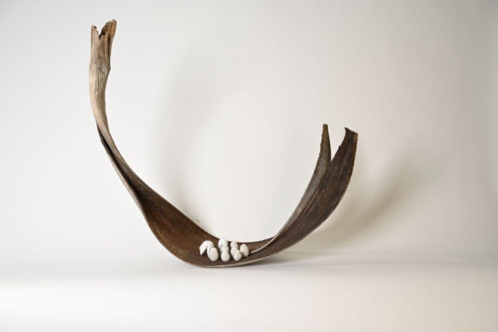 11. Sarah Coffey - Palm boat