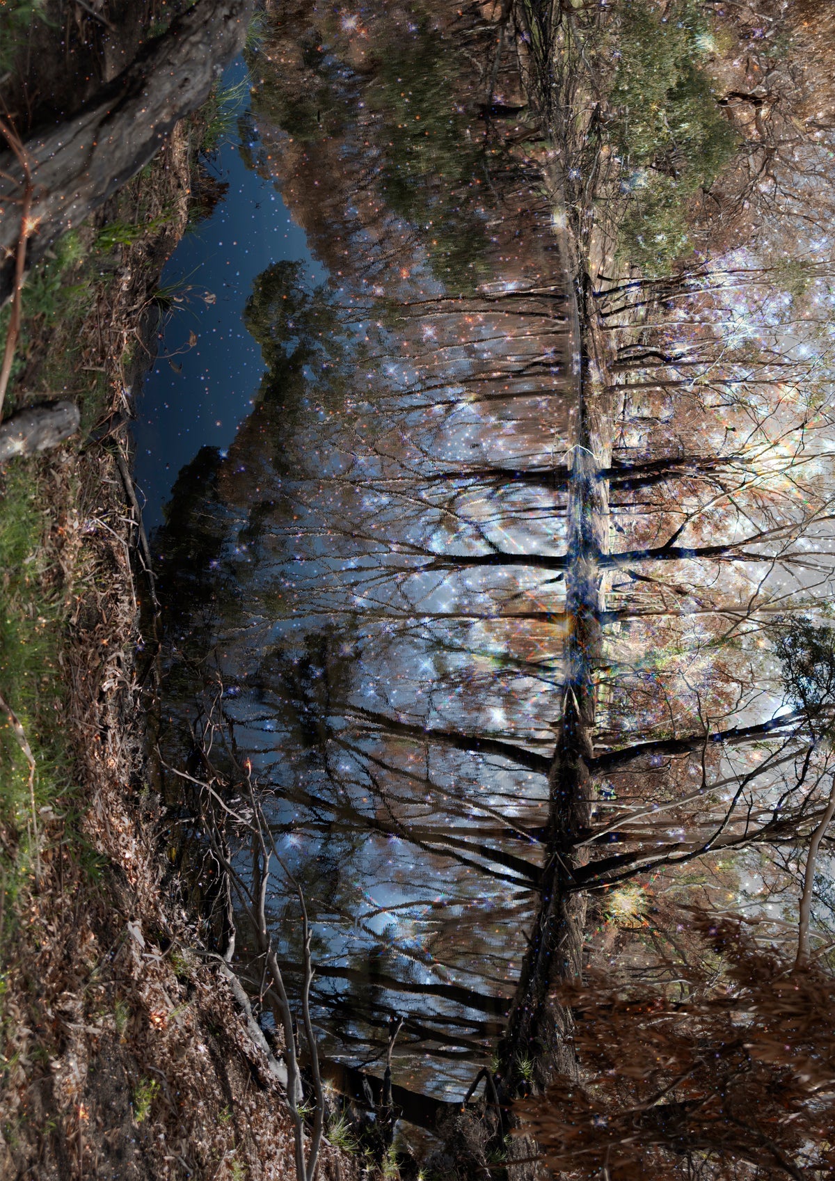 26. Marylou Verberne - Remains to be Seen - Leanganook after the Fires #1