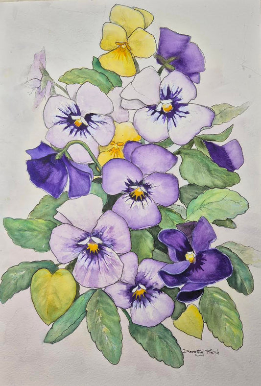19. Dorothy Field Heartsease, Native Violas, Watercolour and Ink on paper, 63 X 50cm