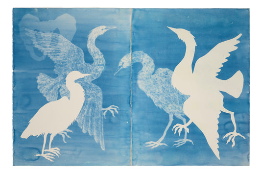26. Iona Julian-Walters, The Body Changes but the Spirit Remains (Cattle Egret), 2025, Cyanotope on Paper, 112 x 75cm