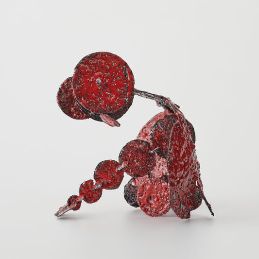 The Red Somira - Wang Xiyu