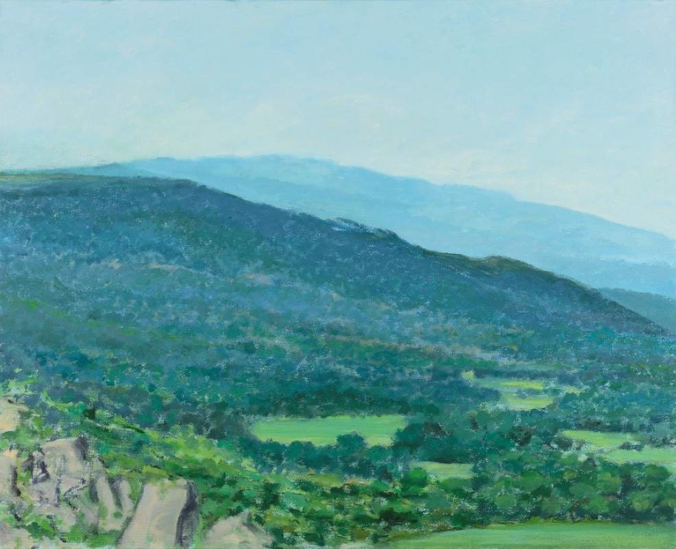 5. David McLeod - Mountain Valley