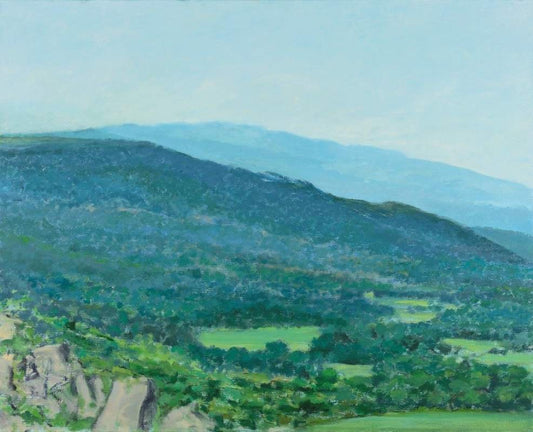 5. David McLeod - Mountain Valley