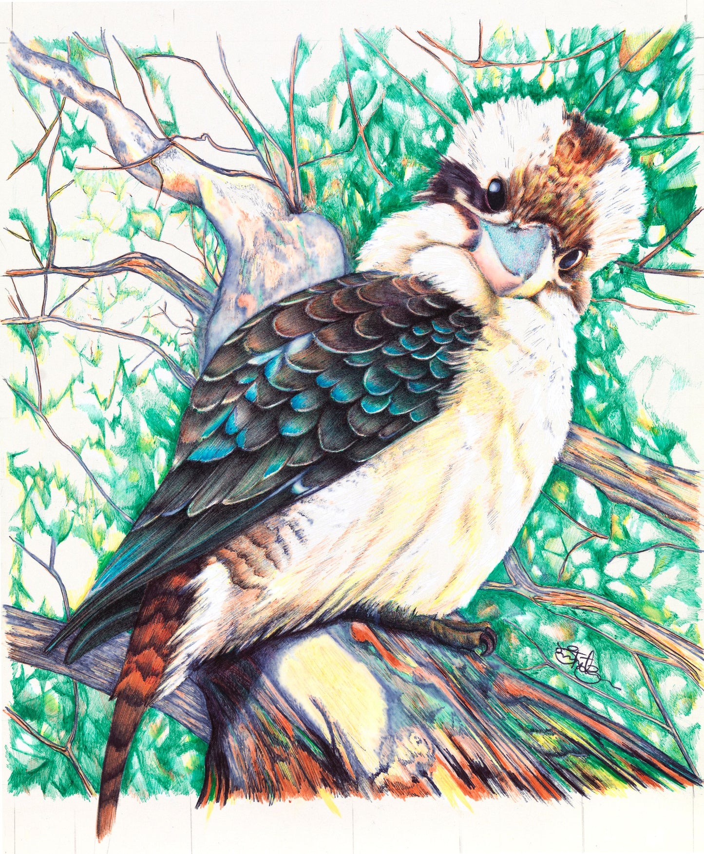 41.Trudy Fitzmaurice, Peek A Boo, Ballpoint Pen, 35x32cm