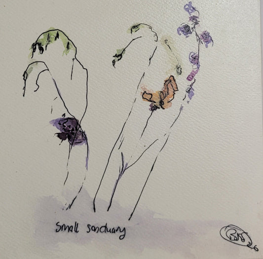 29. Belinda Evans, Small sanctuary, 2026