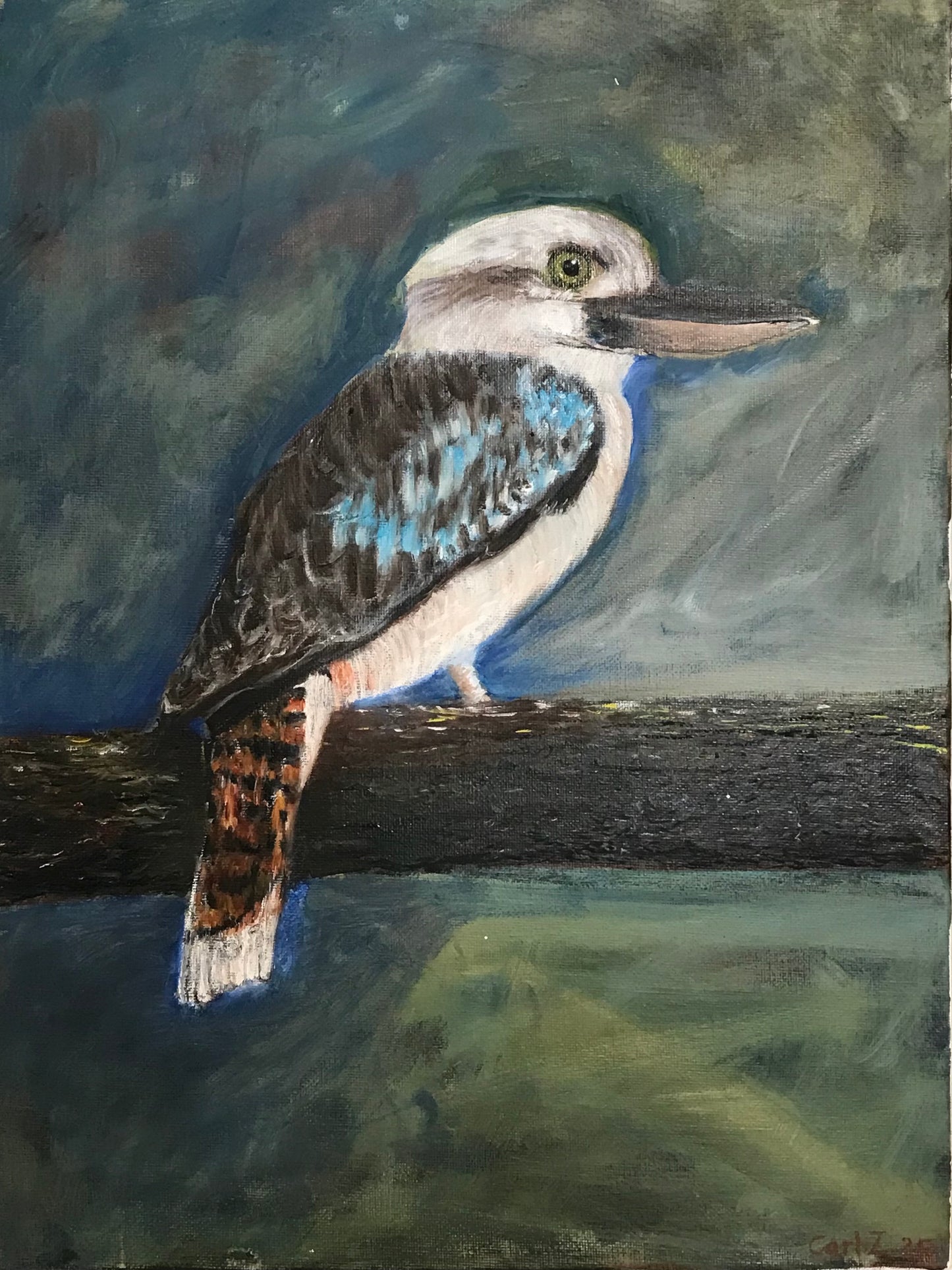22. Carl Zamitt - Kookaburra