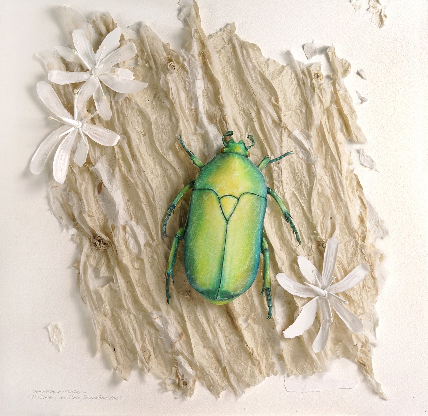 4. Ray Besserdin, Green Flower Chafer, 2025, Paper, 59.6 x 59.6 x 8cm
