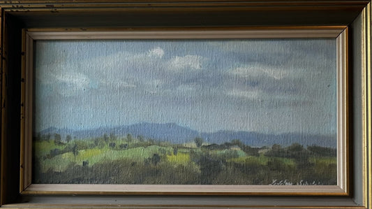 Lesley Sinclair - Untitled (landscape from a Height)