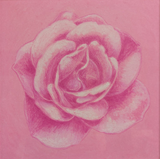 Karin Motyer, Pink Petals, 2026, pastel 
pencil on oil pastel stained paper, 20 x 20cm