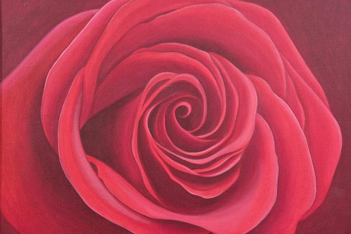 Karin Motyer, Red Rose, 2003, acrylic 
on canvas, 60 x 50cm