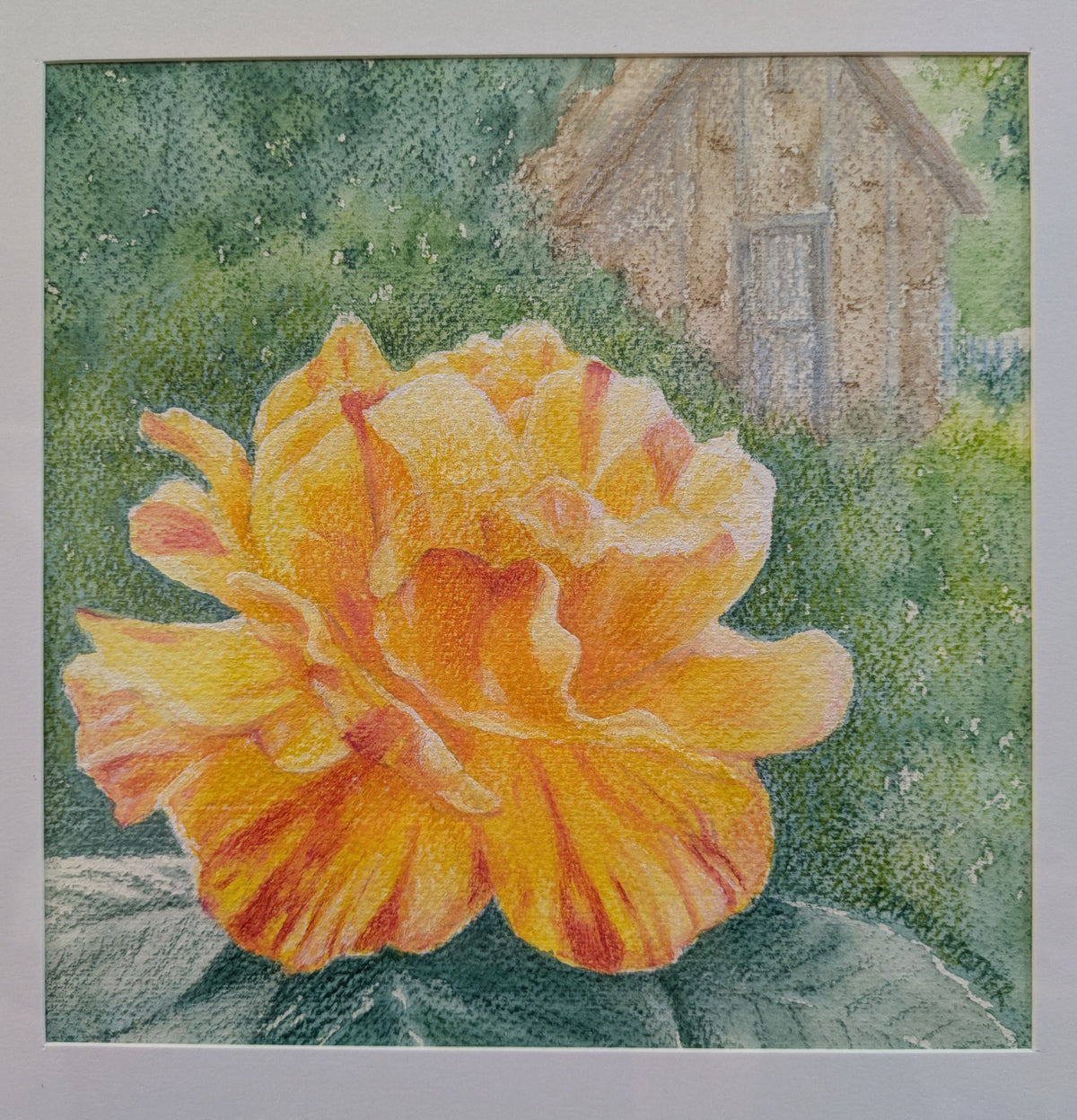Karin Motyer, Rosa Edgar Degas, 2026, 
watercolour pencil, 17 x 17cm