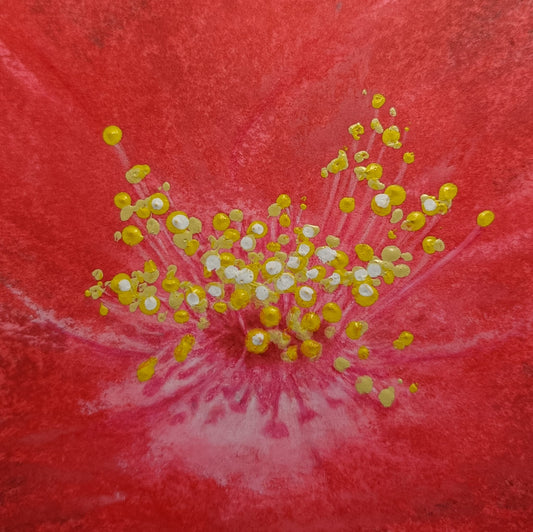 Karin Motyer, small  Stamens, 2026, oil pastel, acrylic, pencil, 12 x 12cm