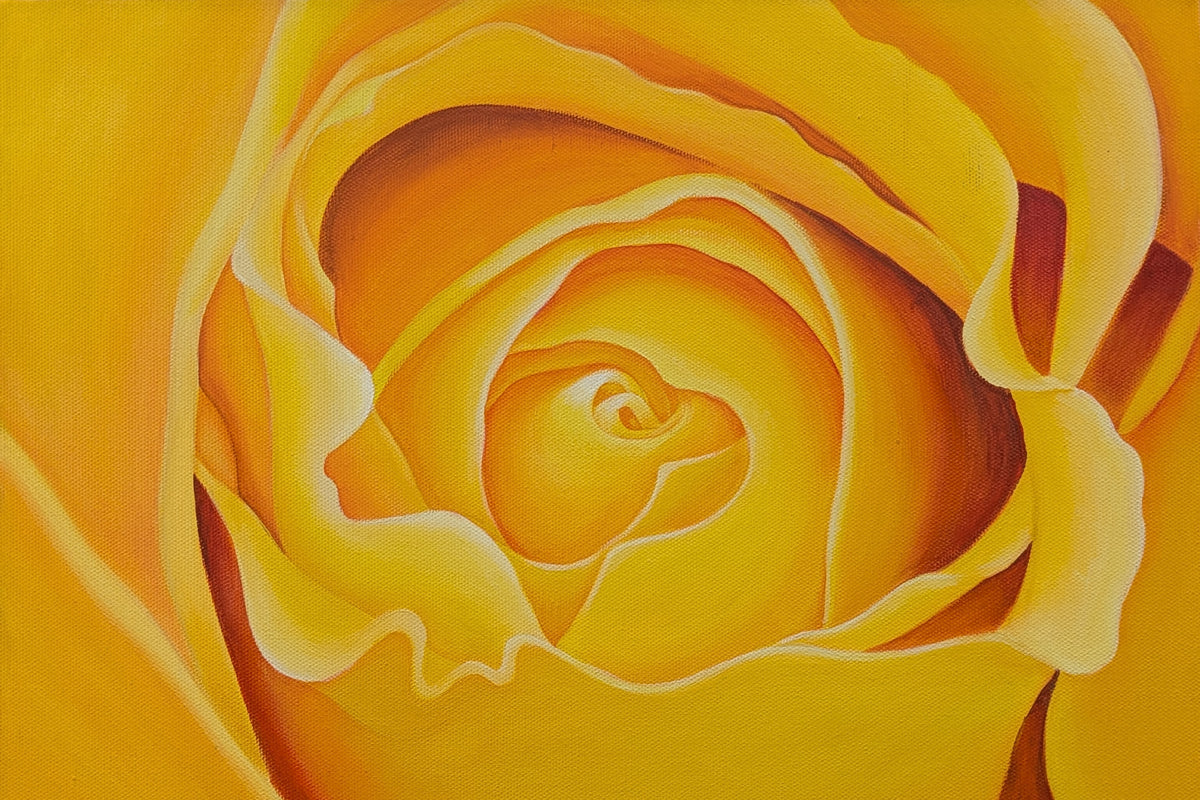 Karin Motyer, 
Yellow/Orange Rose, 2015, acrylic on canvas, 30 x 40cm