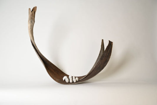 11. Sarah Coffey - Palm boat