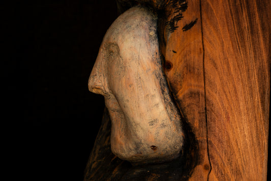 12. David Puustinen - Wisdom of Val