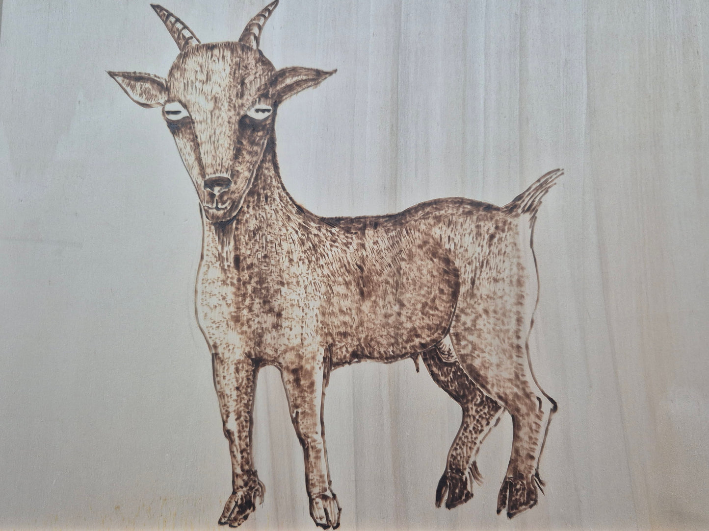 34. Scapegoat 1 - Joanna Ransome