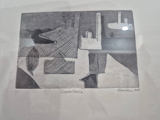 7. Surveillance - Joanna Ransome